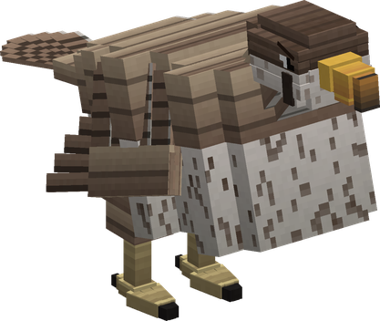 Falcon Fly Point
