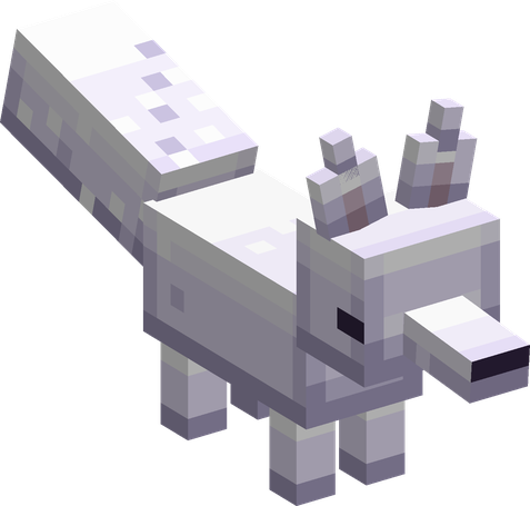 A Cloud Fox
