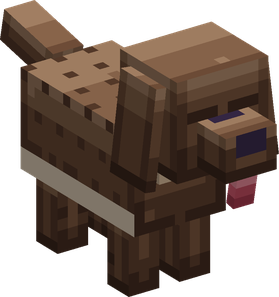 Giant Dog, chocolate coat