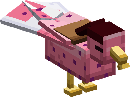 A saddled Sky Dot Bird on the ground