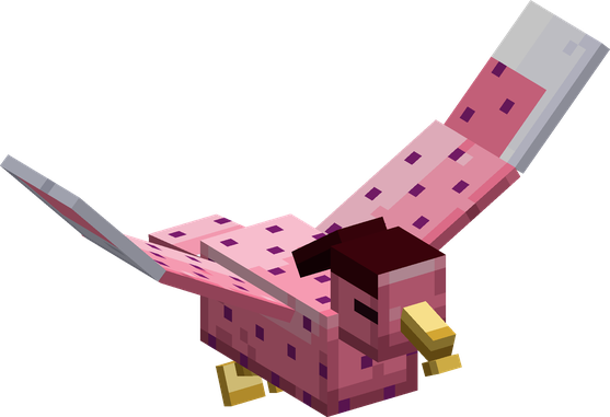 A Sky Dot Bird in flight